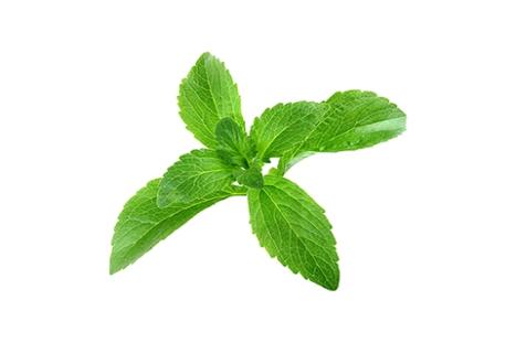 Stevia Blend Ingredients: Natural Sweetener and Guardian of Health