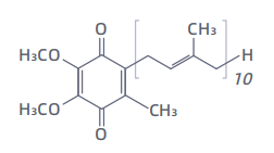 Ubidecarenone_Coenzyme_Q10.png