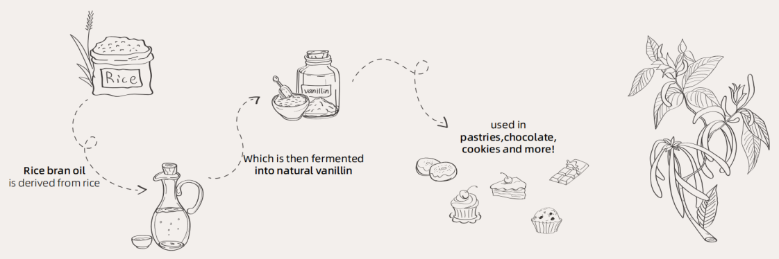 natural-technical-routes-1.png